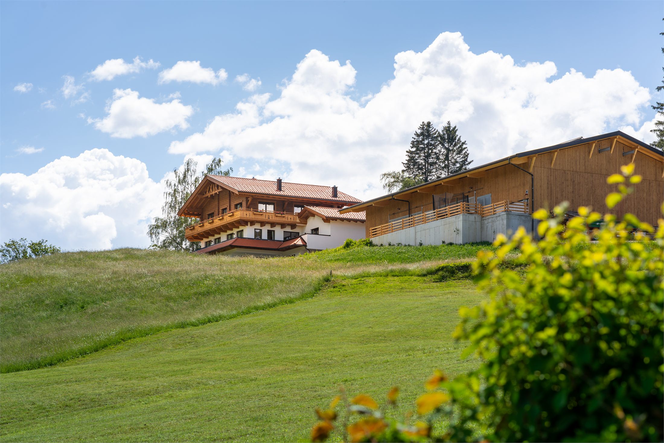 Farm near Appartements Bichl in Wenns